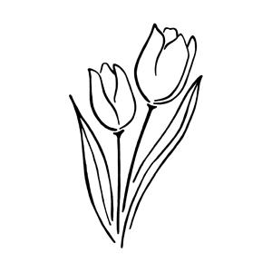 Stempel Tulpen