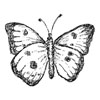 Stempel Schmetterling